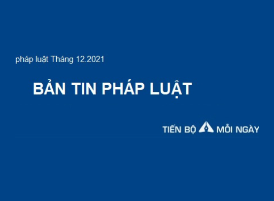 Bản tin pháp luật Tháng 12/2021